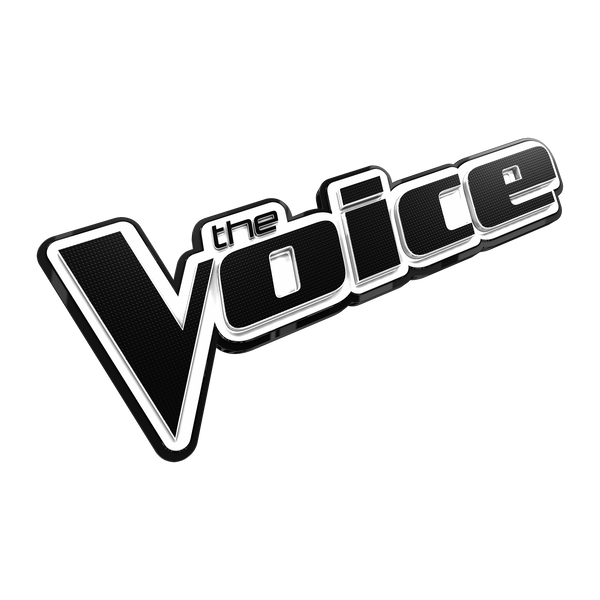 The Voice Store